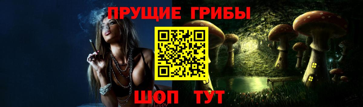 Псилоцибиновые грибы ЛСД  Галлюциногенные грибы ЛСД  Новотроицк  дарнет шоп  Вход с VPN 